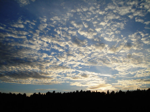 25859 (a): :1600x1200